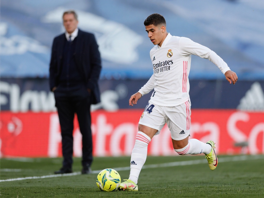 不能仅仅将 不能仅仅将