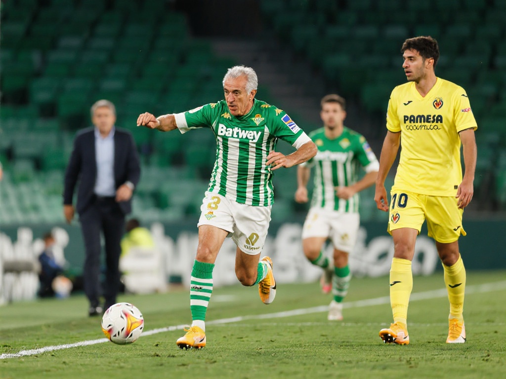 藏的进攻武 藏的进攻武